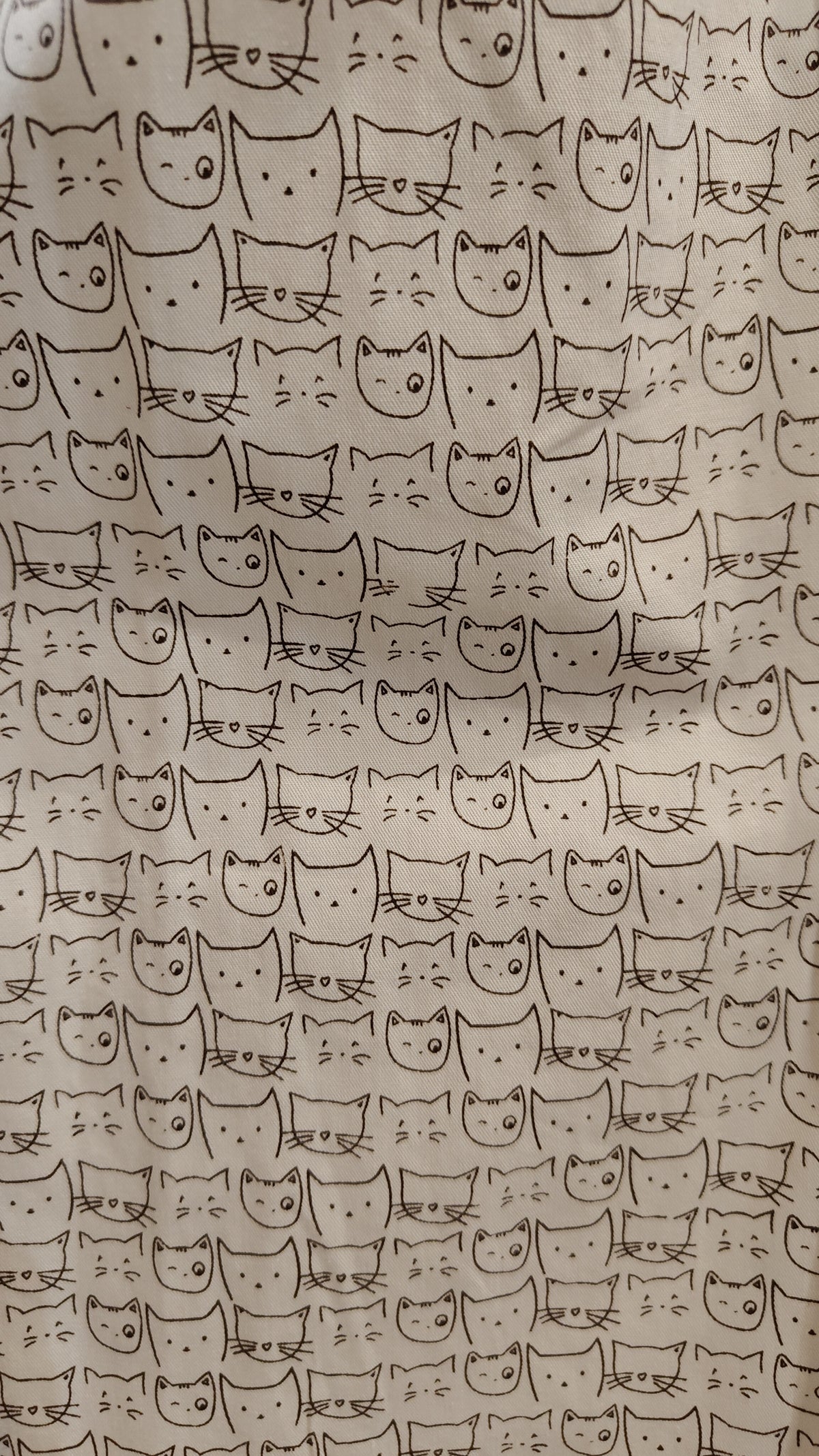 Pantaloni gattini