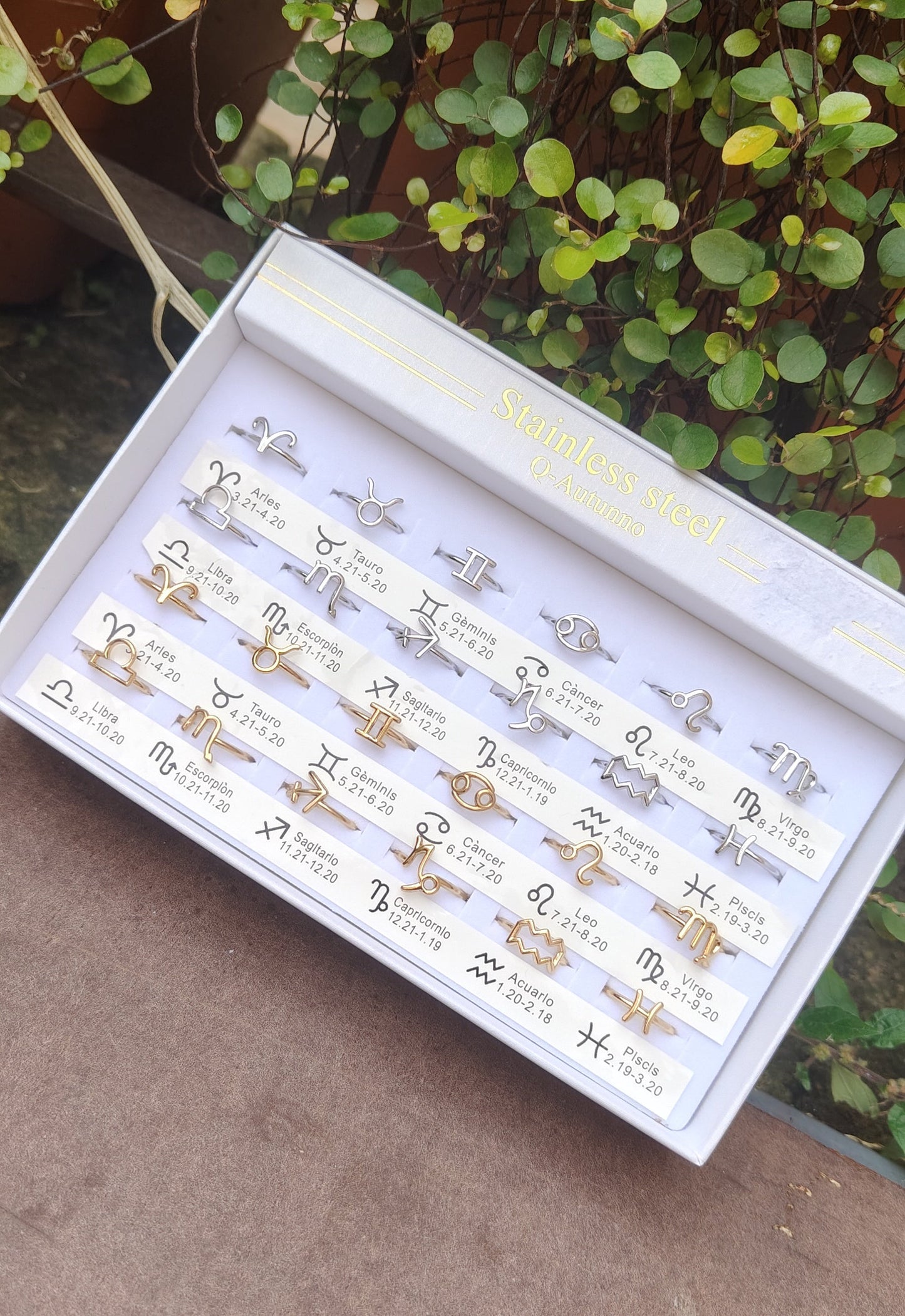 Anelli segno zodiacale ARGENTO