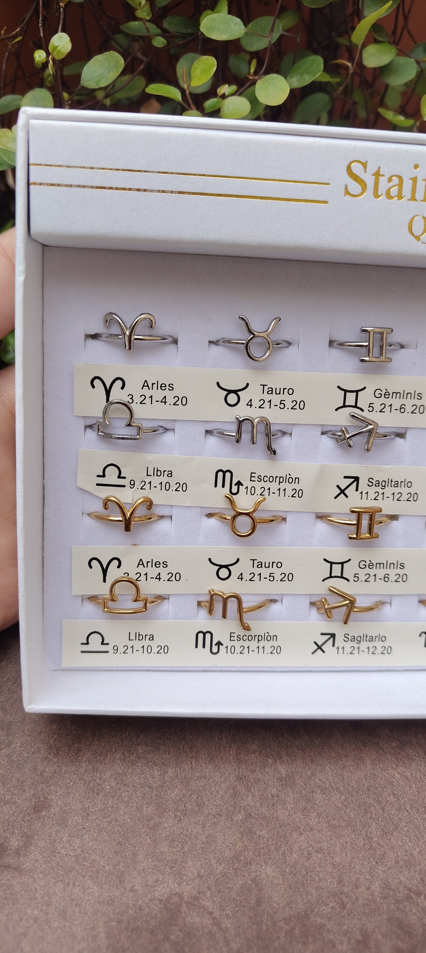 Anelli segno zodiacale ARGENTO